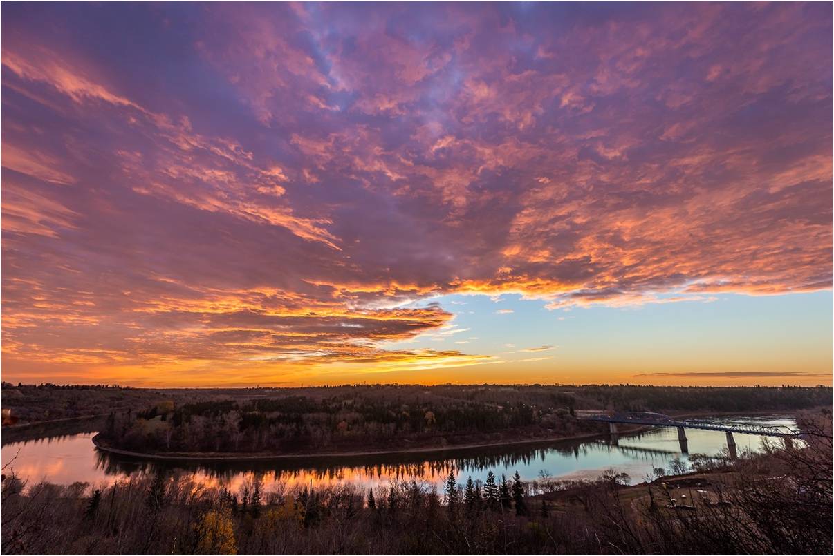 Nature Bathing in the Largest Urban Park in North America Episode 1