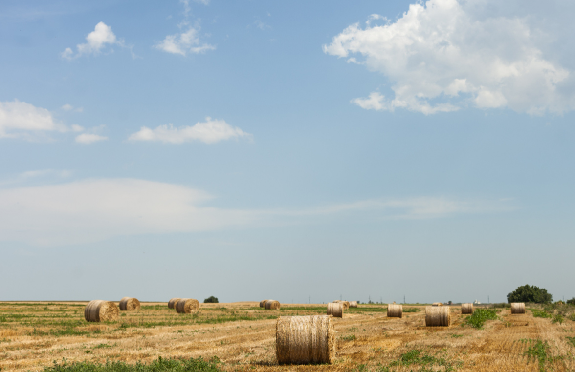 11 Land Value Factors to Consider with Max Steffes of Steffes Group