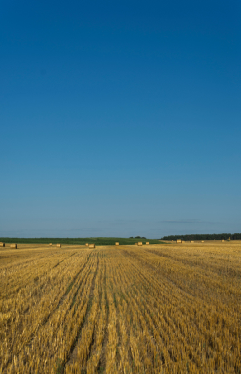 11 Land Value Factors to Consider with Max Steffes of Steffes Group