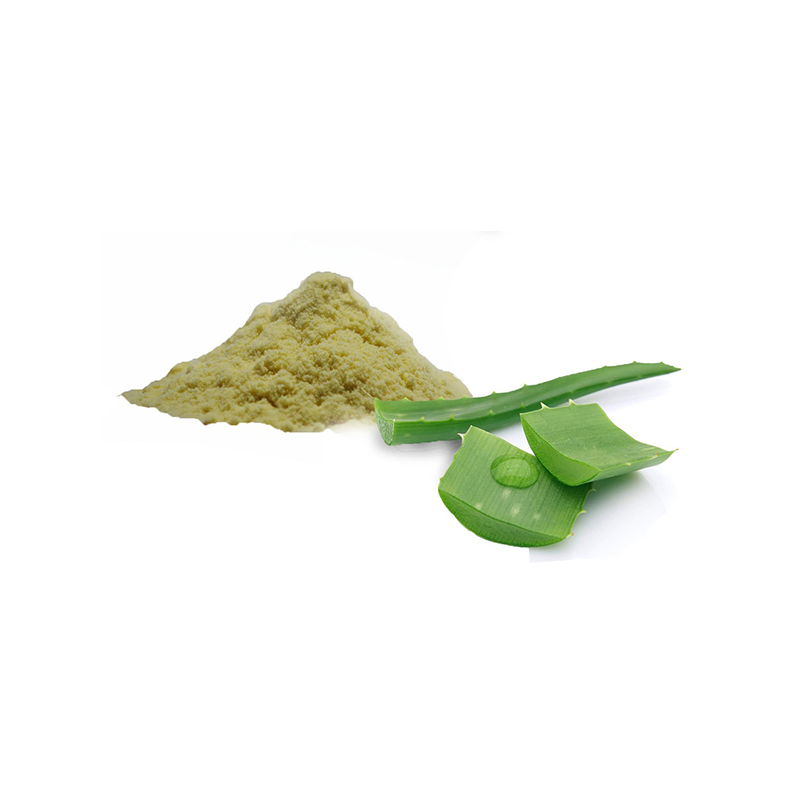 Easy Homemade Method How to Freeze Aloe Vera 2023 AtOnce