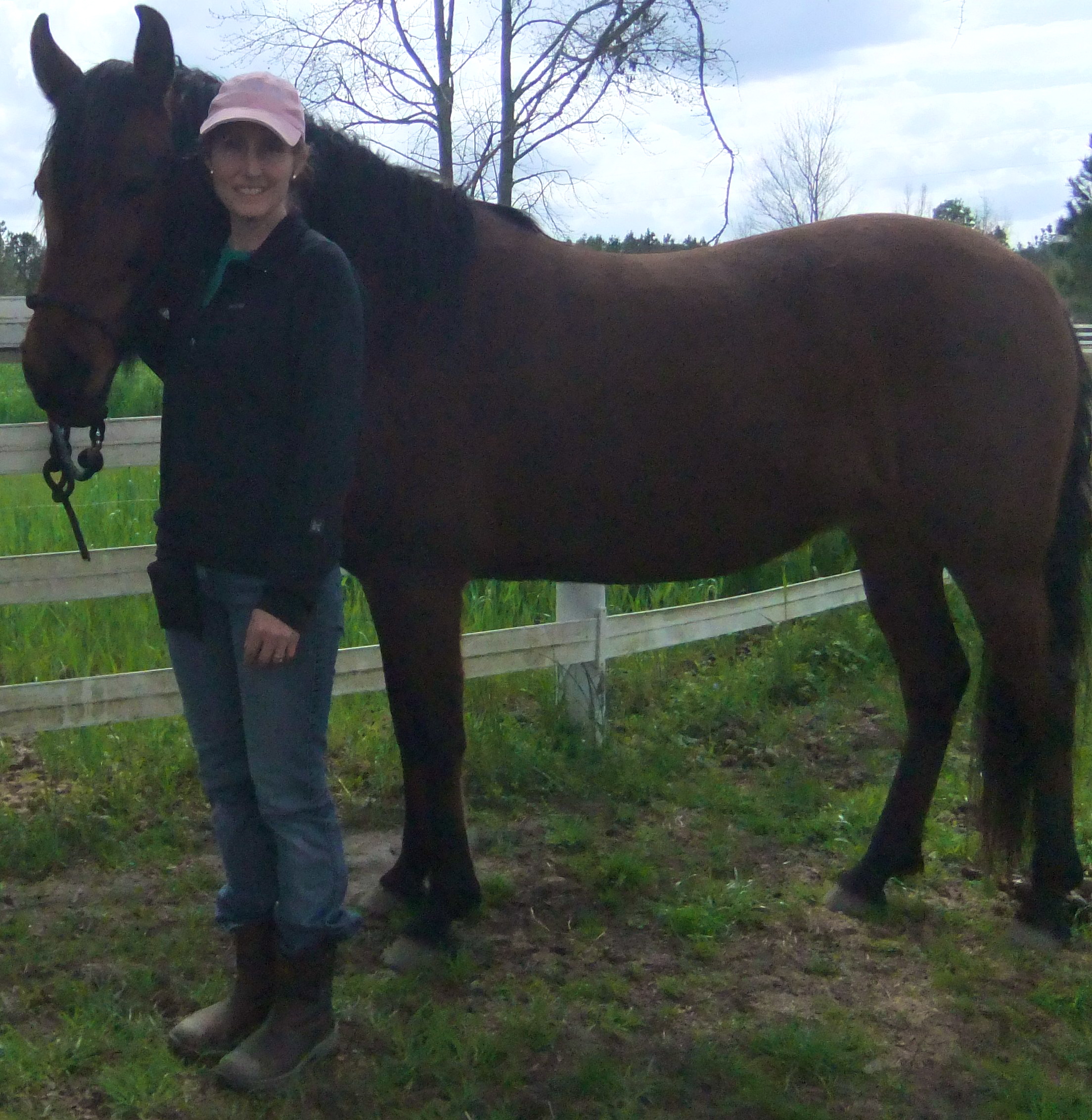 SW Update Future Foal Lumber Bridge SW Future Foal