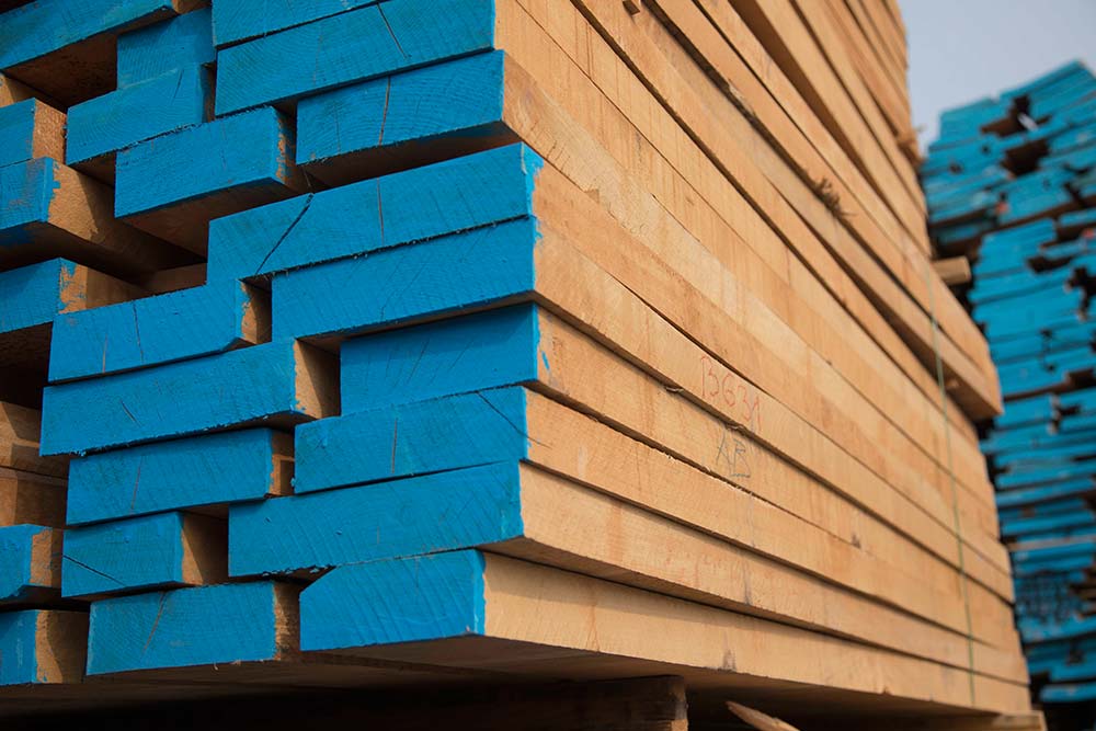 Beech Wood Future For Import