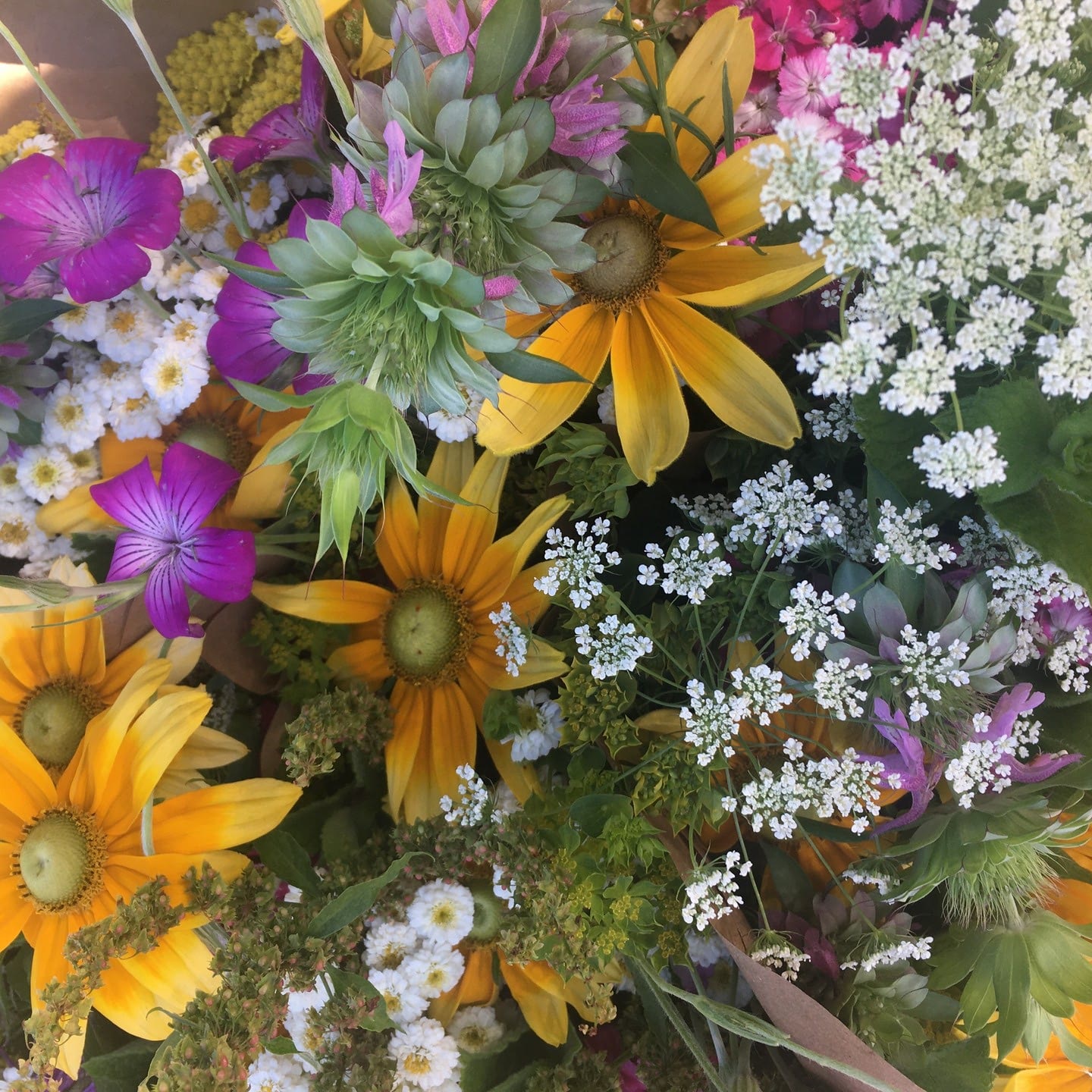 Helen's Garden Future Harvest