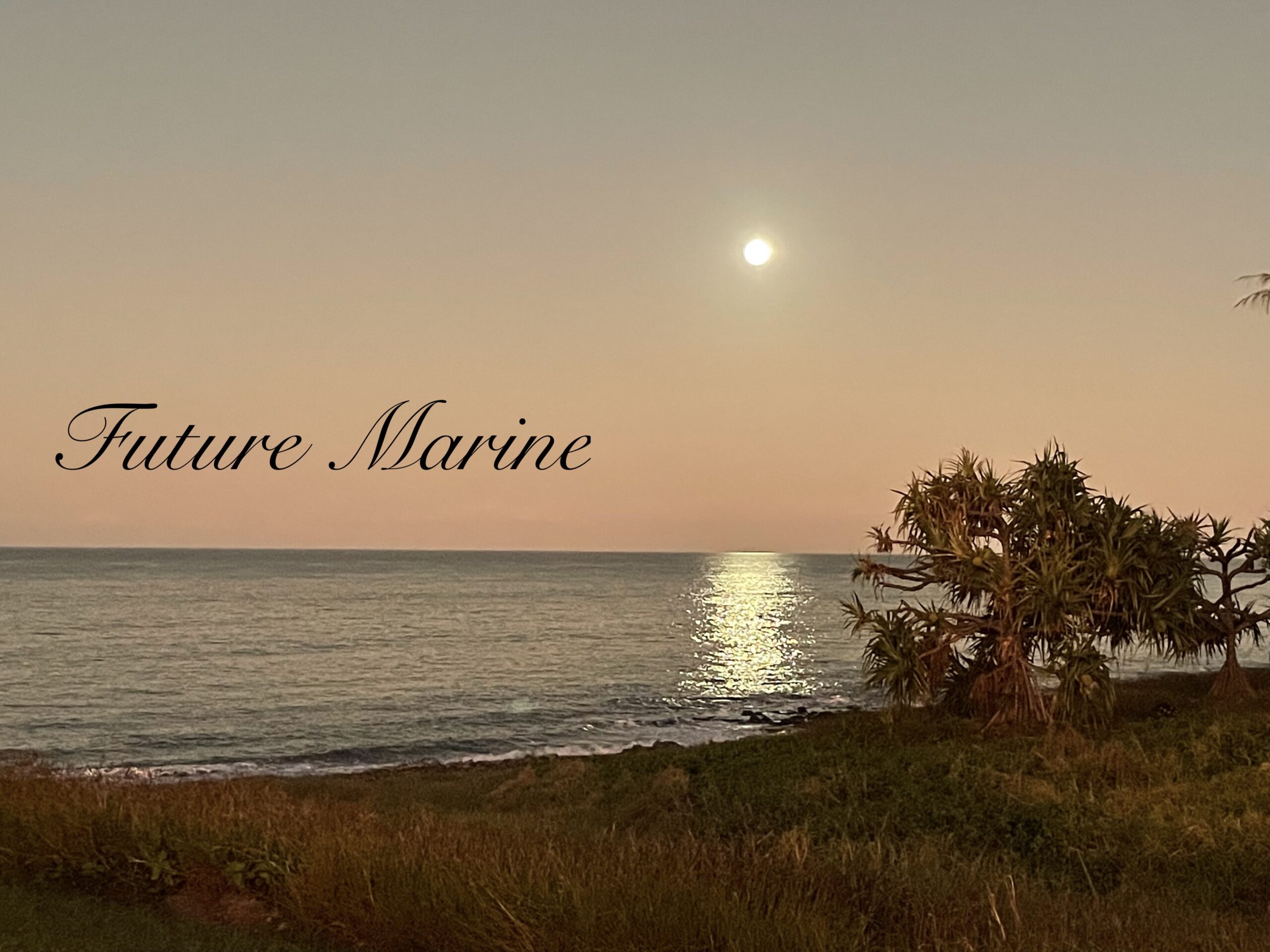 Future Marine Future Marine Home of Aiqidi electric outboards