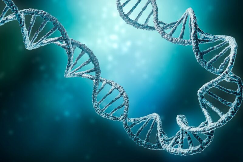 The Building Blocks of Life What is a Genome? ⋆ FutureNow