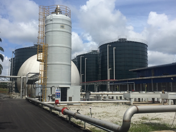 Green Mill Solid Orient Palm Oil Mill futureNrg