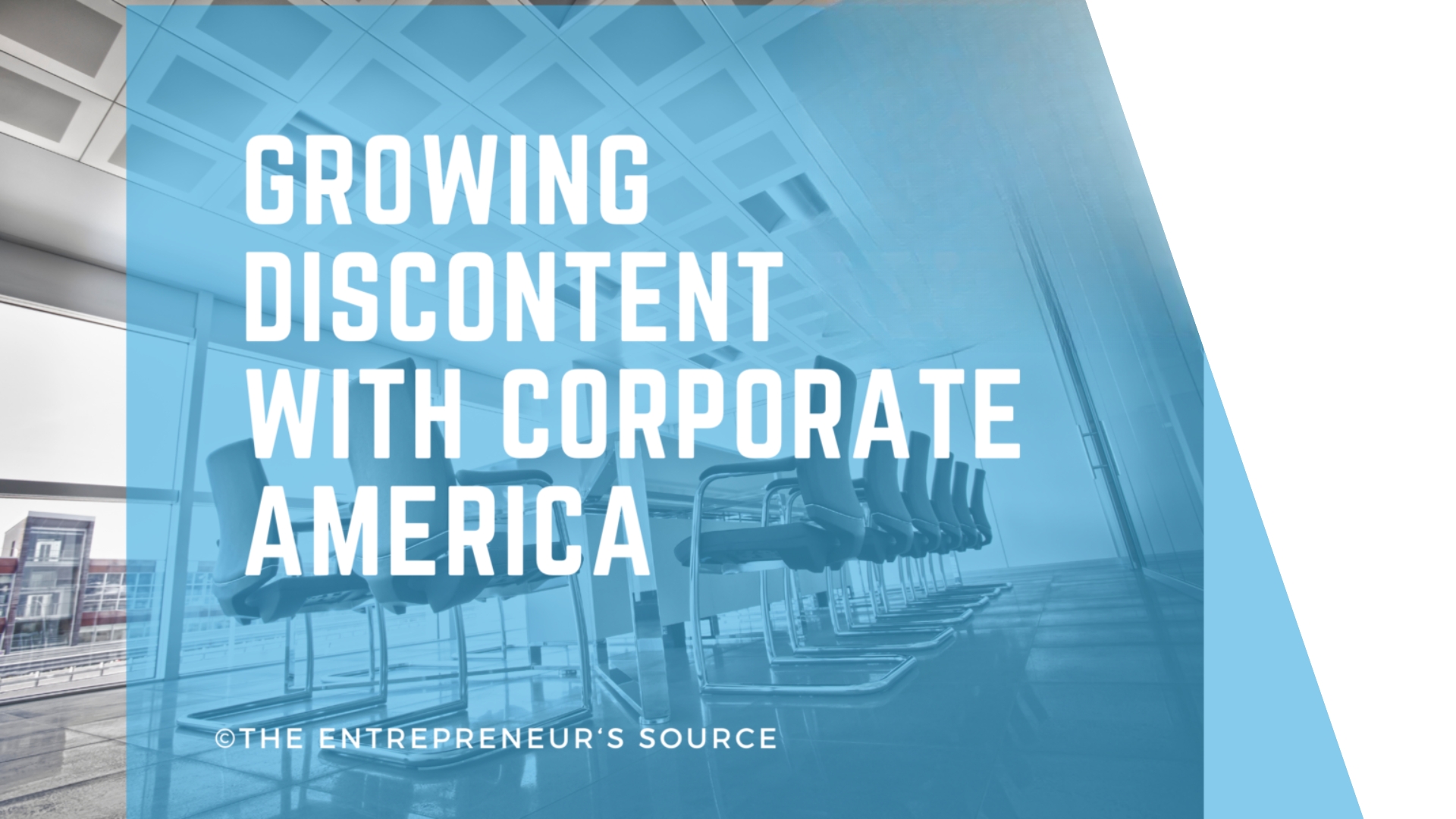 Growing Discontent with Corporate America TES Franchisor Member