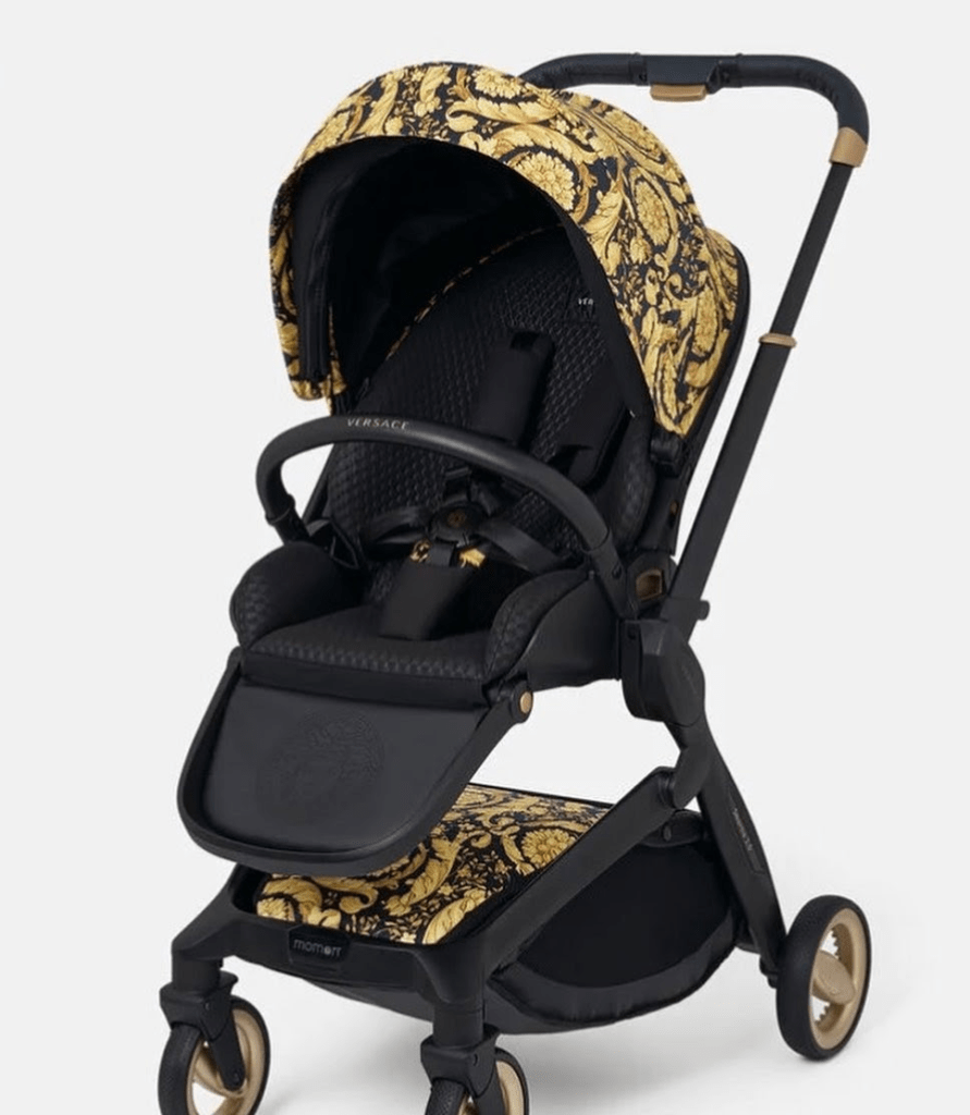 Marketing Case study on Luxury Baby Brands 👇 Future Vision Computer