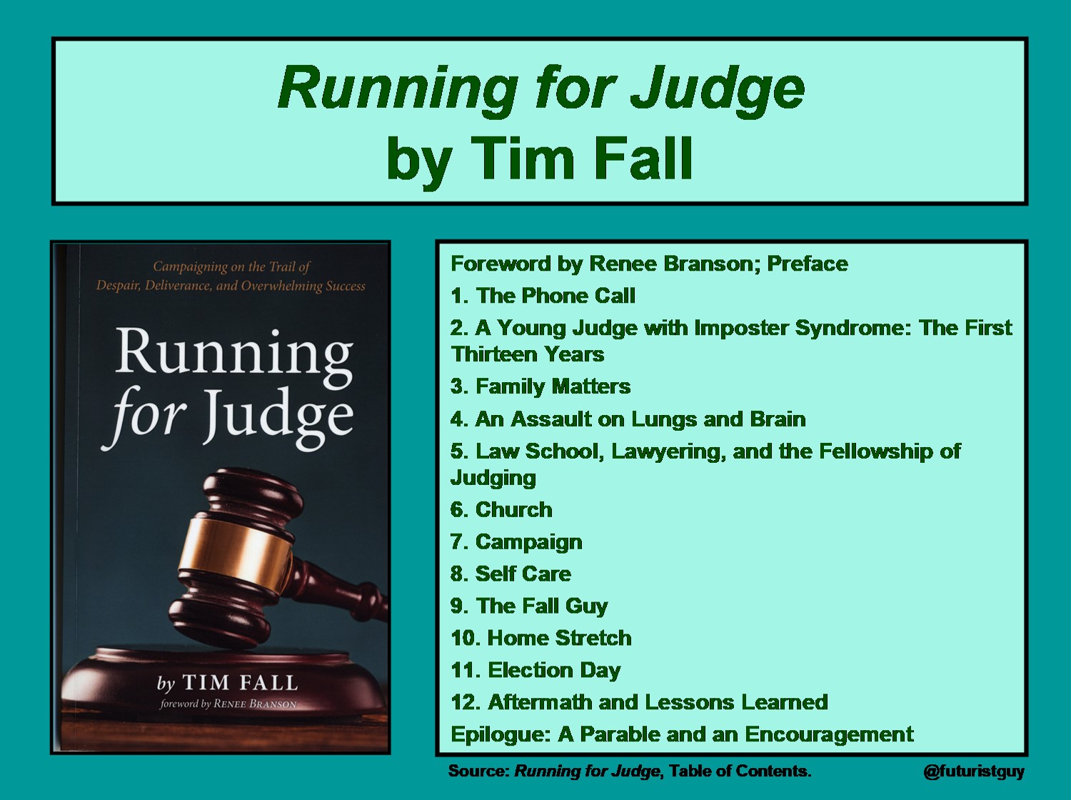 Running for Judge 1 — New Series to Read/Review Tim Fall’s Book