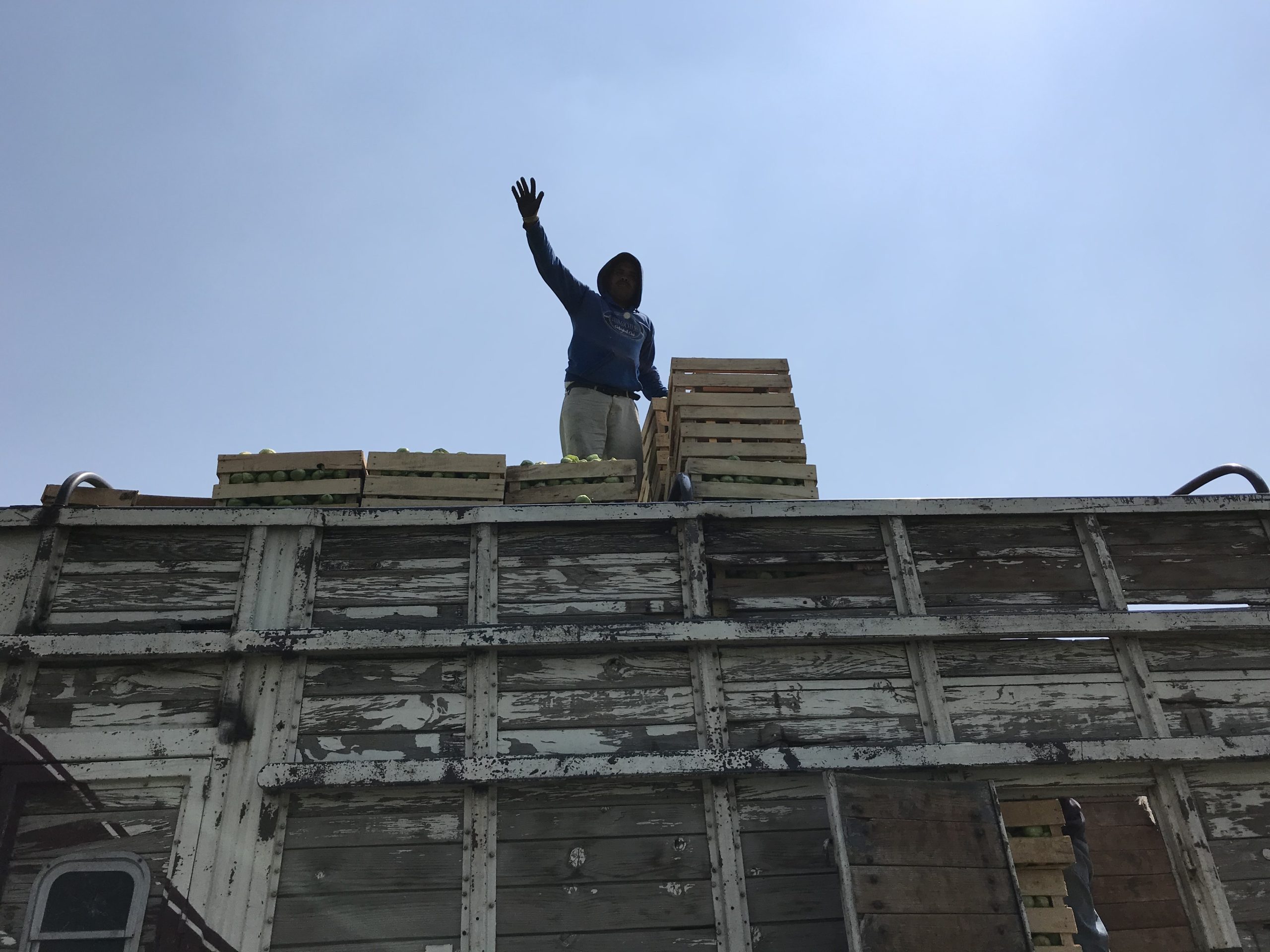 Put Your Head Down, Work, Don't Complain What I Learned From