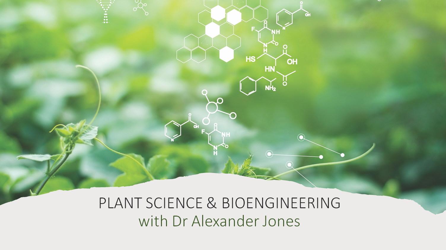 The molecules behind plant growth Futurum