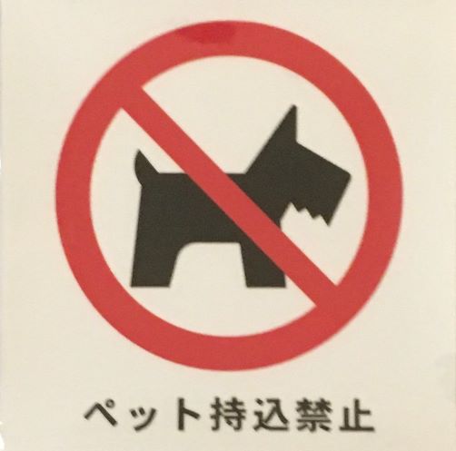 ペットを飼っている人が、コインランドリー、クリーニング以外で布団を洗う唯一の方法をお伝えします！ 美 wash ランドリー fuwalis