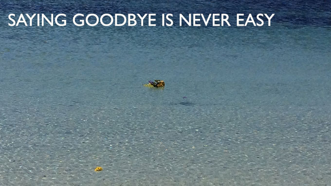 saying goodbye is never easy Saying Goodbye Is Never Easy | Fuze Ceremonies