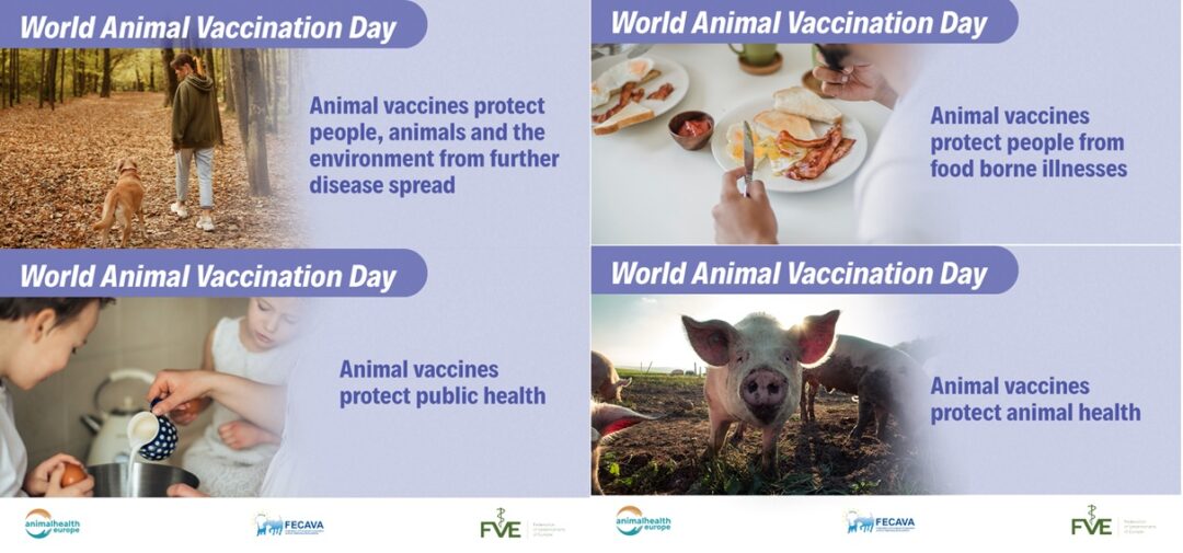 World Animal Vaccination Day animal vaccines protect our shared One