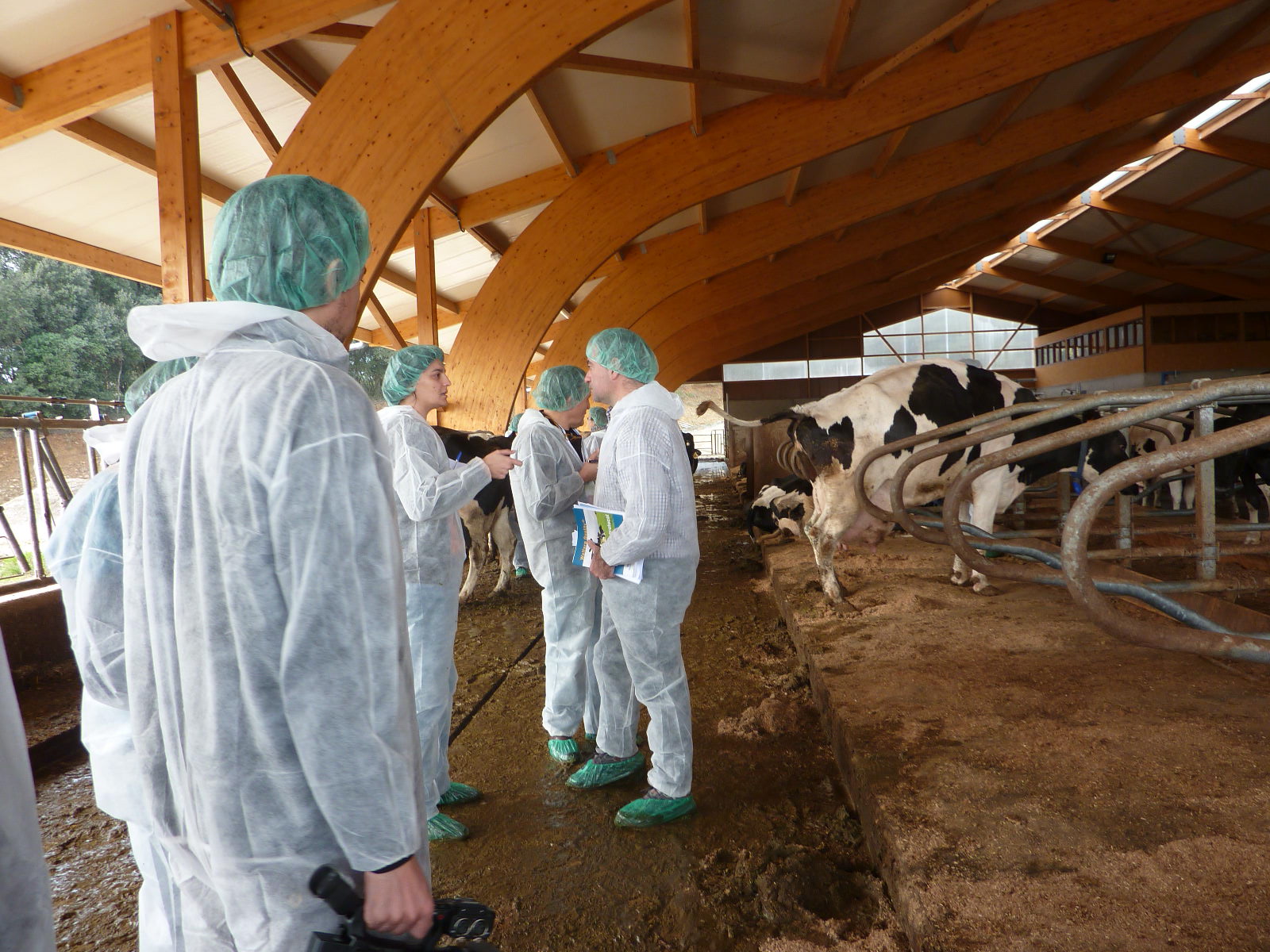 Monitoring of farm animal welfare using animal indicators FVE