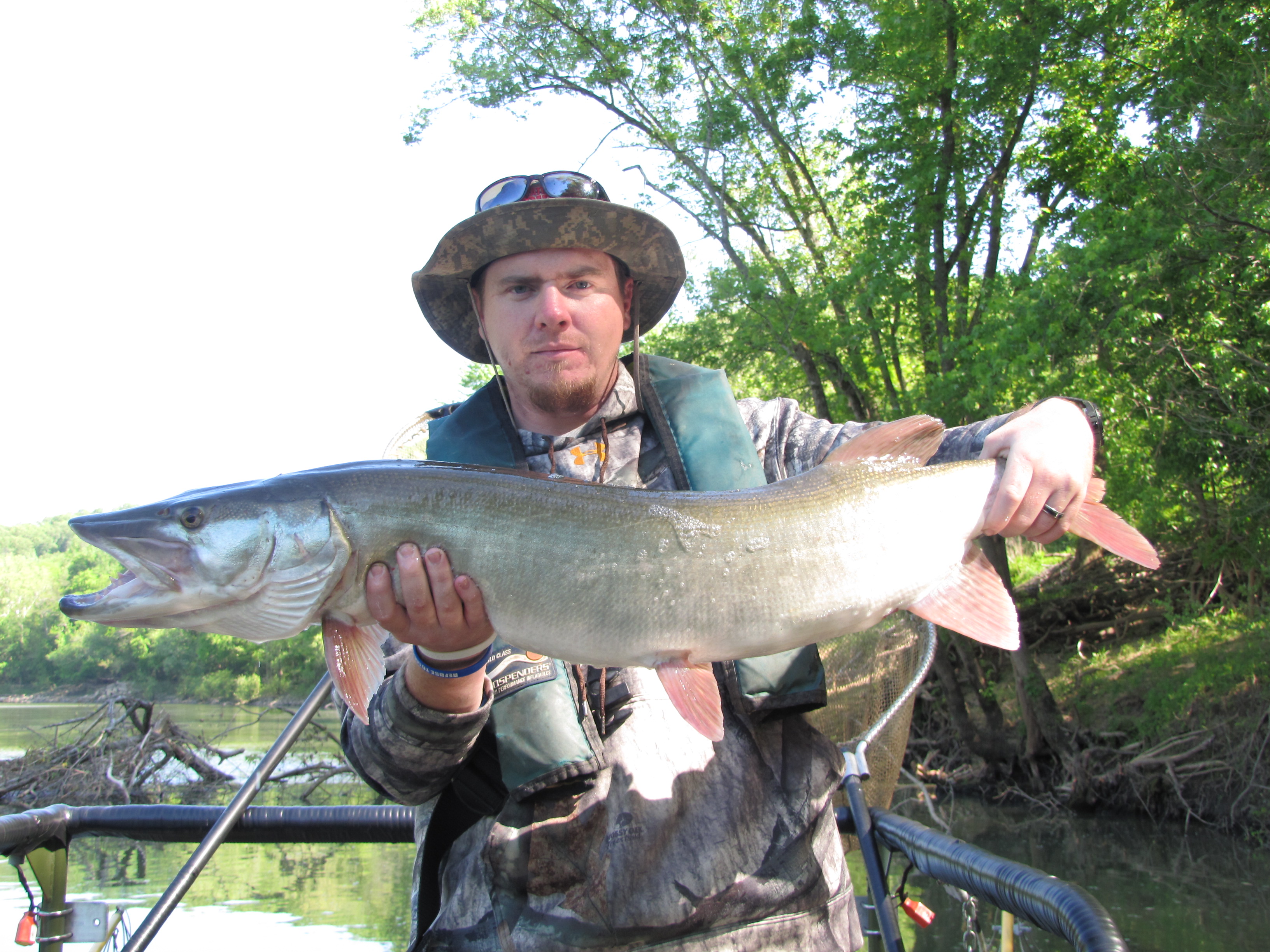 Ky Lake Fishing License Elite Series Pro Greg Hackney patterns