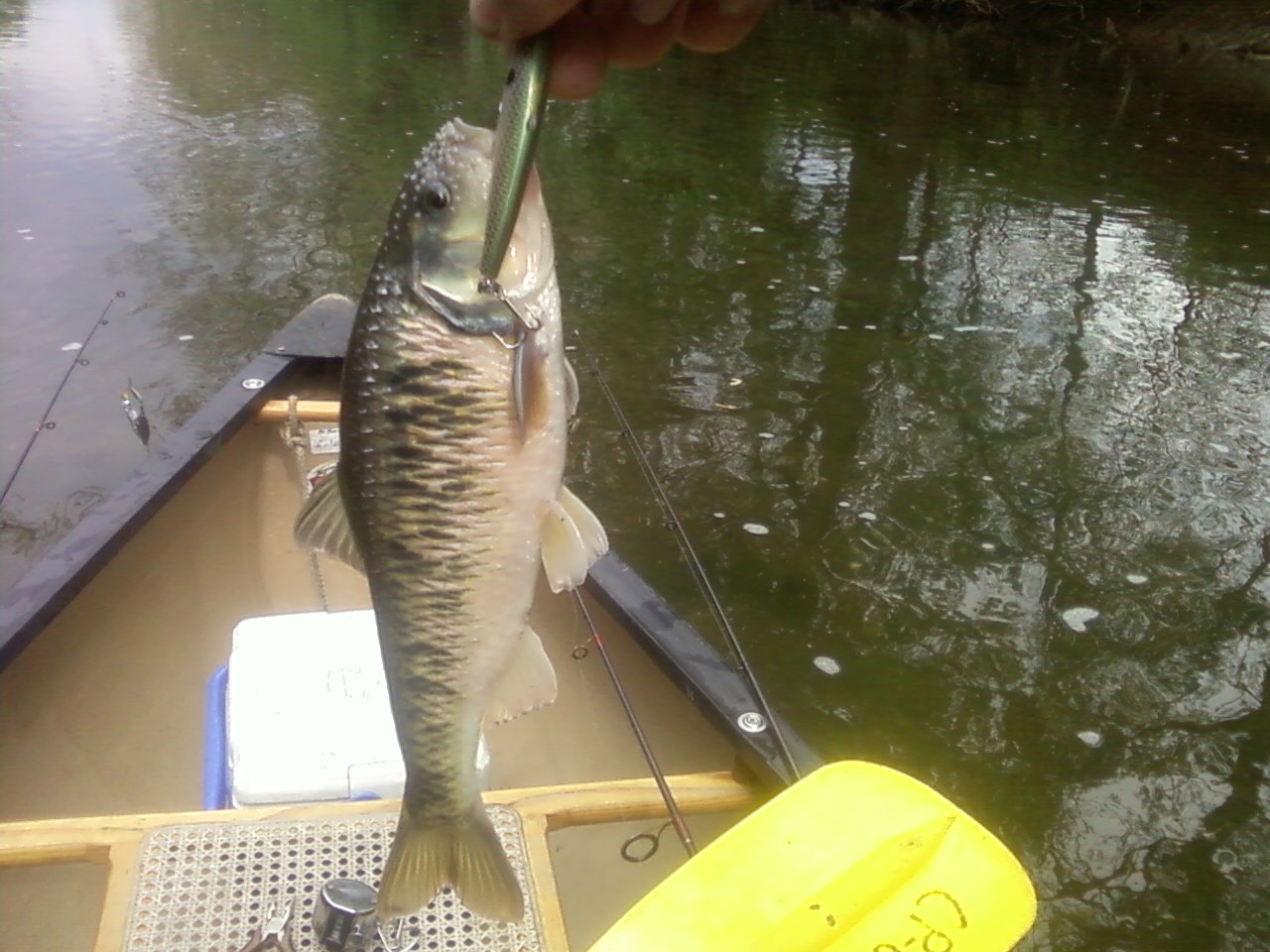 Elkhorn Creek Gallery Kentucky Department of Fish & Wildlife