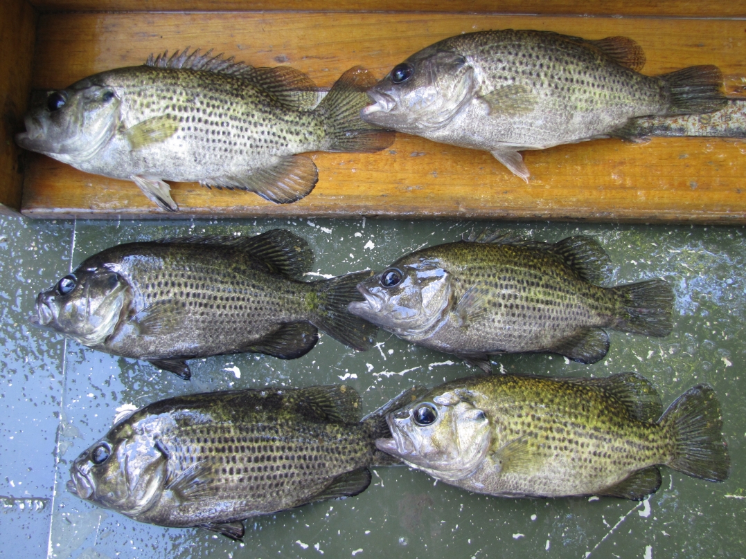 Kentucky Department of Fish & Wildlife Elkhorn Creek