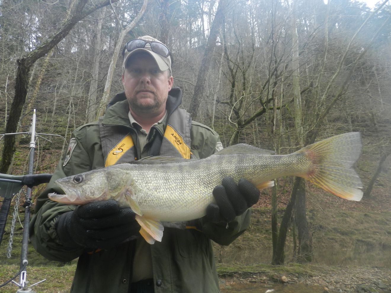 Kentucky Department of Fish & Wildlife Green River Pool 6 Photo Gallery