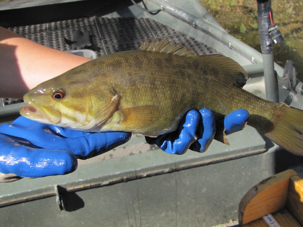 Kentucky Department of Fish & Wildlife North Fork Kentucky River Gallery