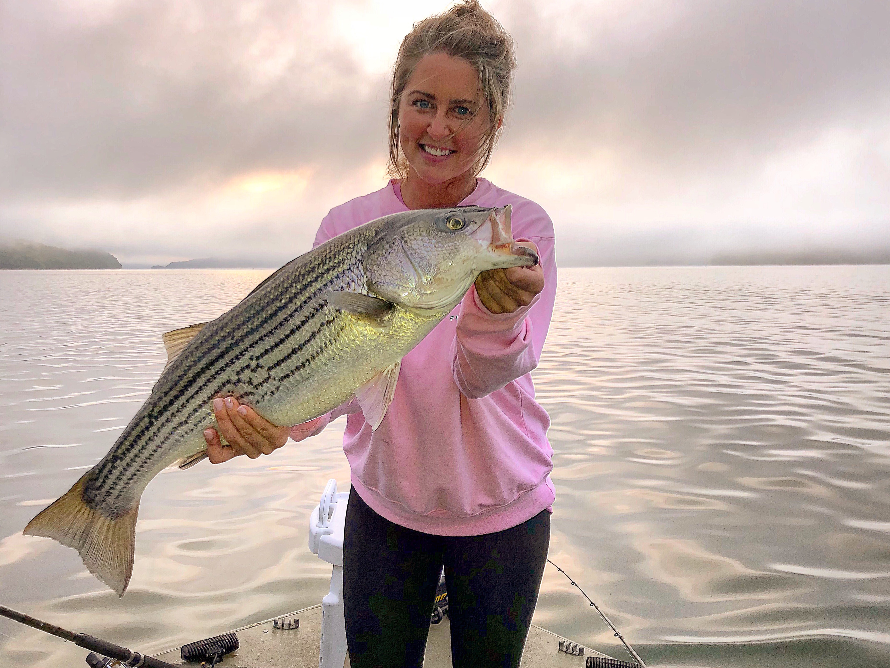 Lake Cumberland Striped Bass Heating Up - Kentucky Department Of Fish & Wildlife