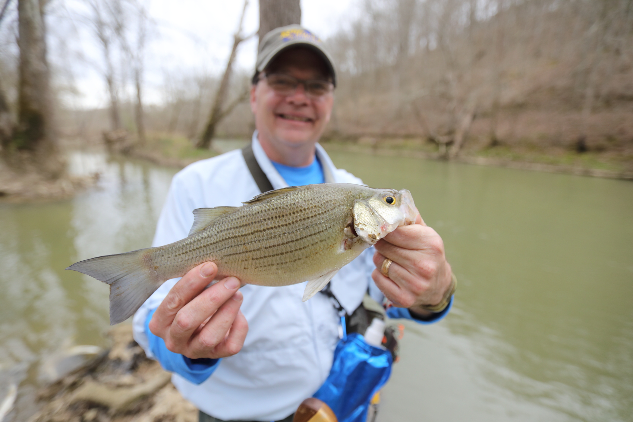 The white bass runs provide a bonanza of bank fishing Kentucky