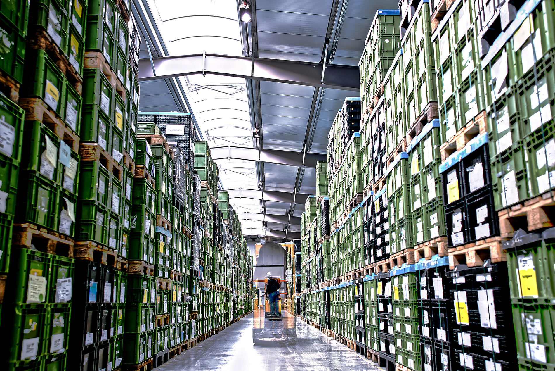 Disposition/Logistik FWB Kunststofftechnik GmbH