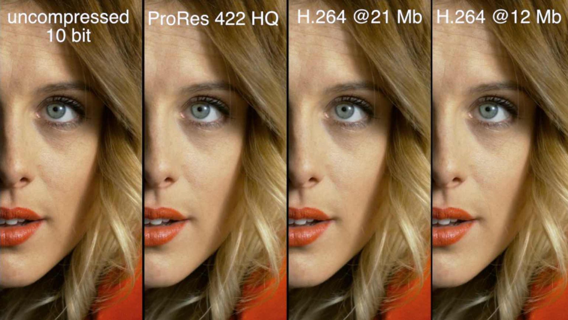 Apple ProRes Een veelzijdige tussenliggende CODEC FWD