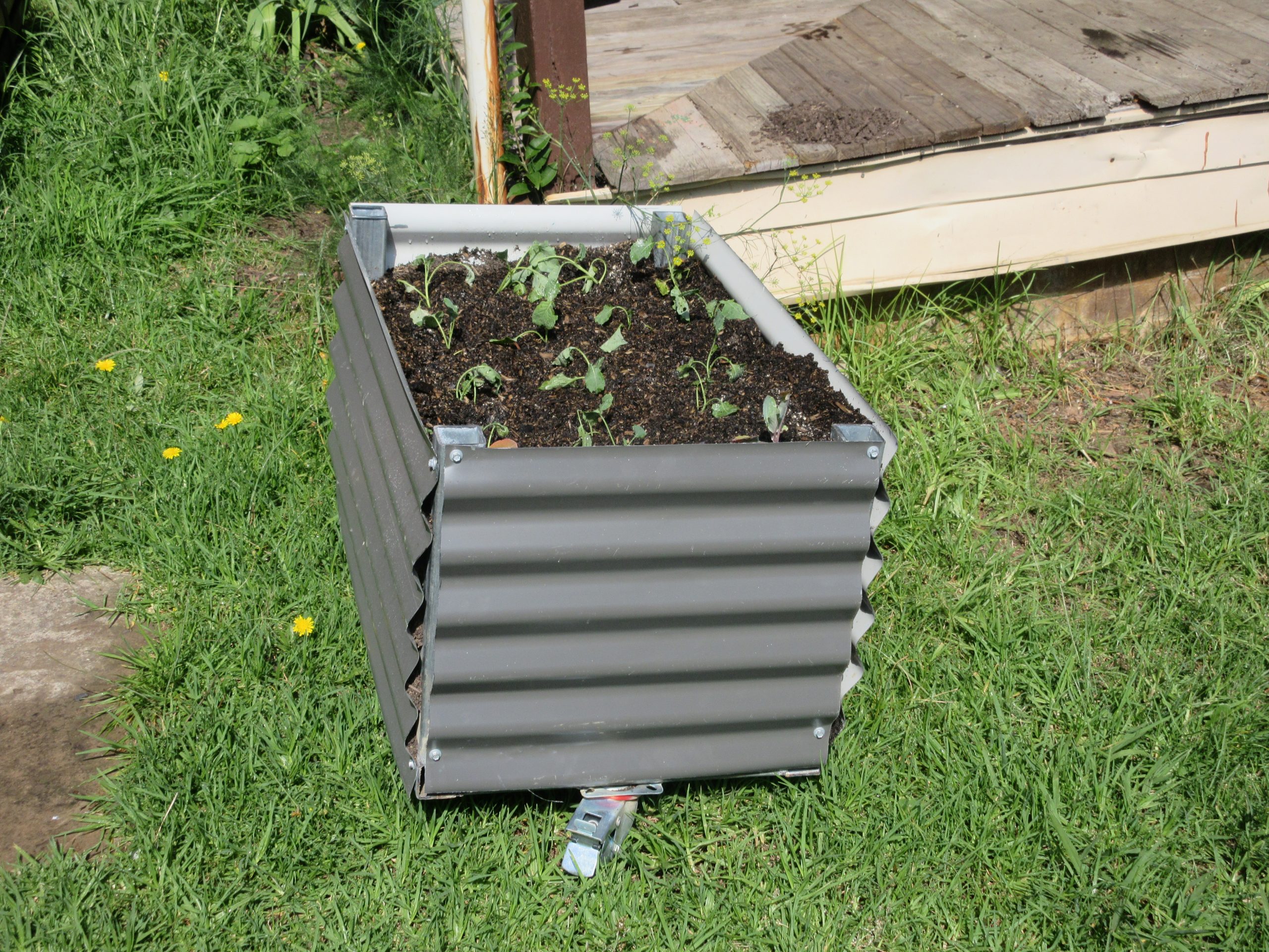 Mobile Garden Beds Colorbond Large Finigan Wright Fabrication