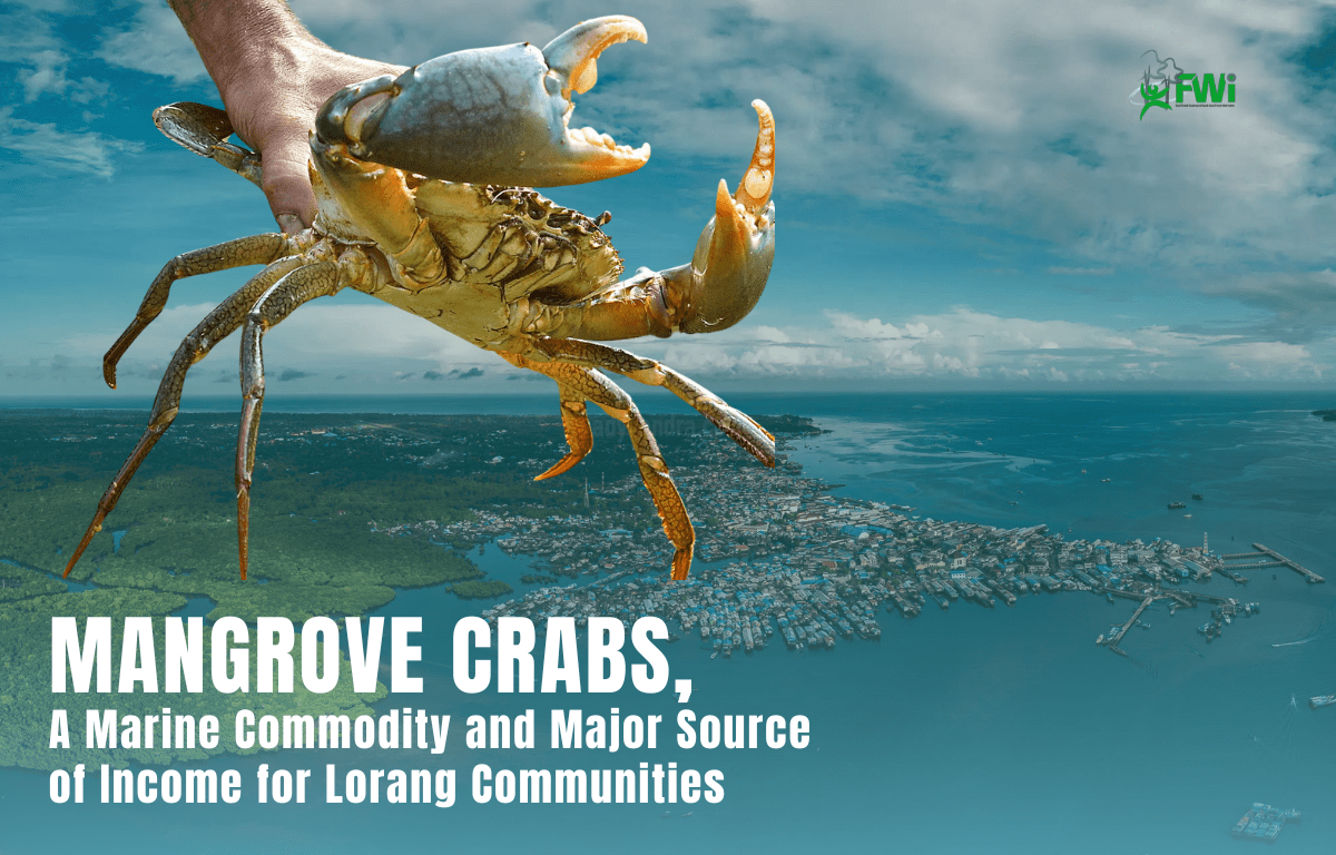 Catching Mangrove Crabs in Lorang