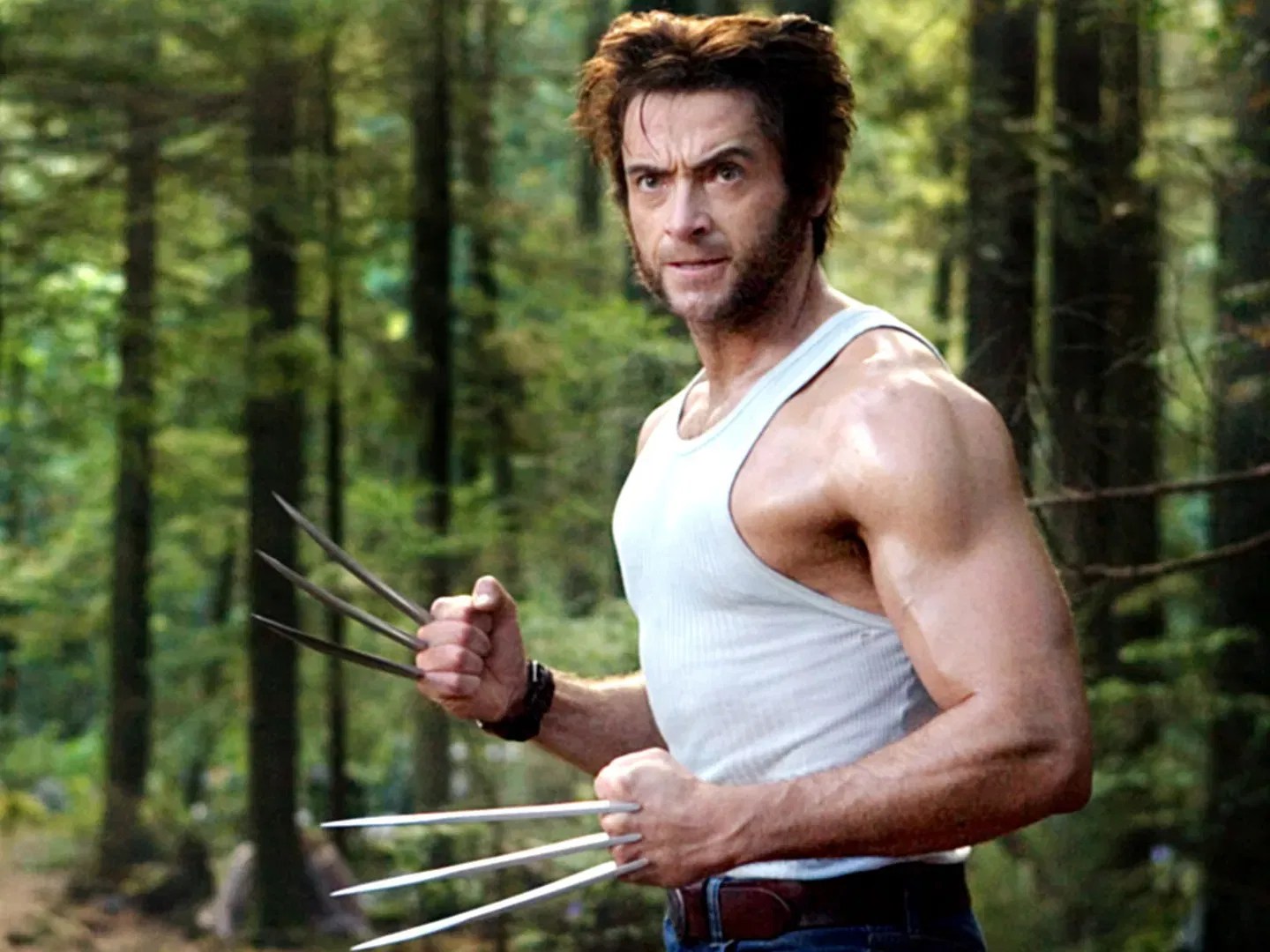 Hugh Jackman as Wolverine
