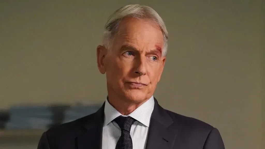 Mark Harmon as Gibbs