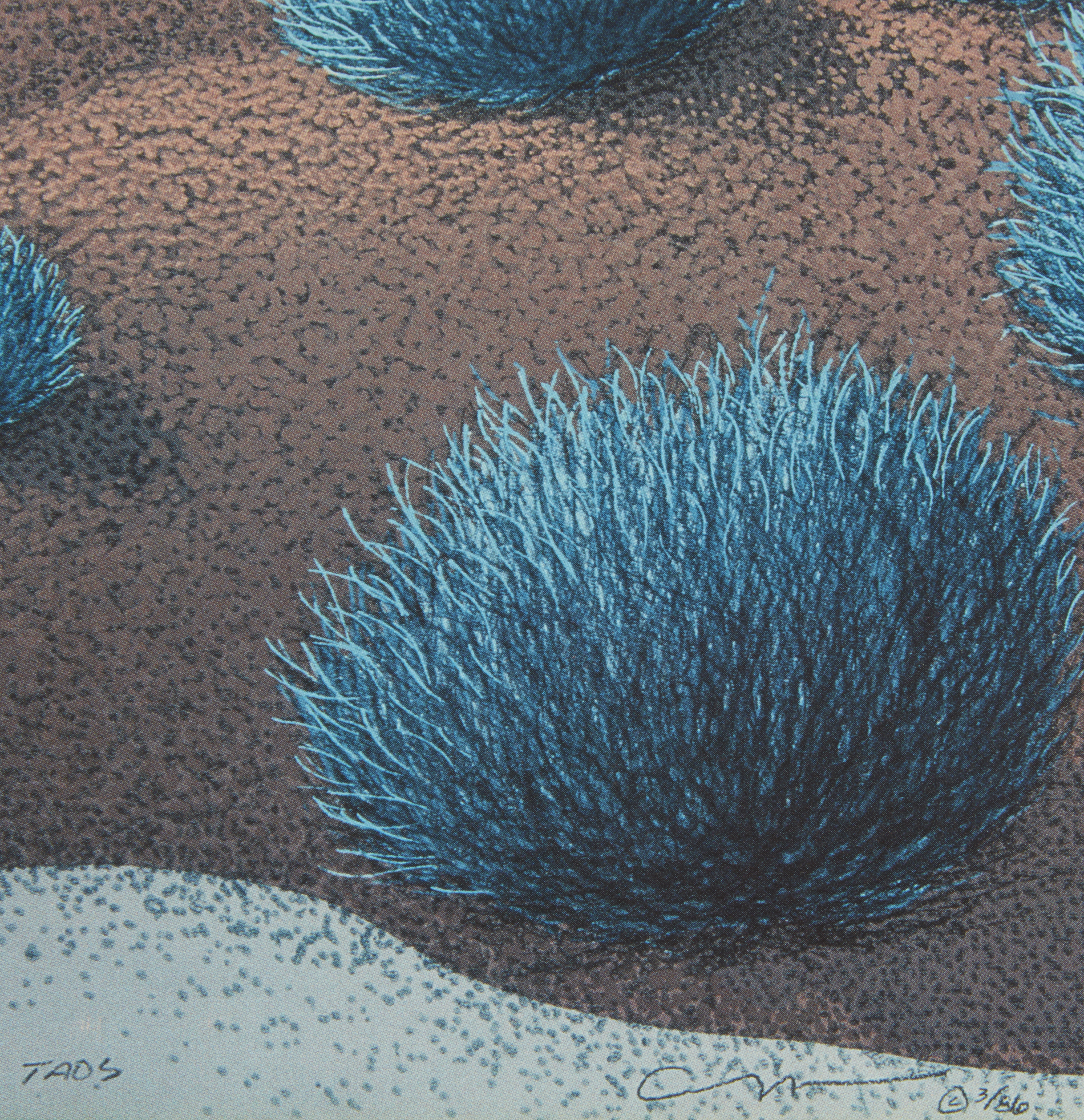 Doug West (b. 1947), Serigraph, "Taos" Witherell's Auction House