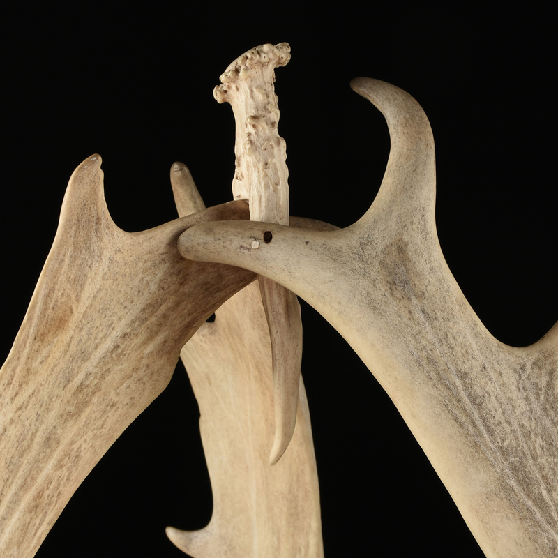 AN ANTIQUE ELK ANTLER DISPLAY STAND, SCOTTISH, CIRCA 1875, Simpson