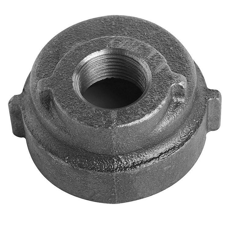 Commodity Black Cast Iron Fittings 1X12ECCO Coupling