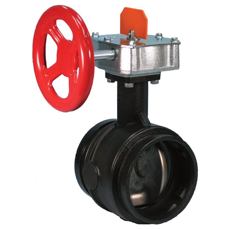 Victaulic 7056SOD Butterfly Valve