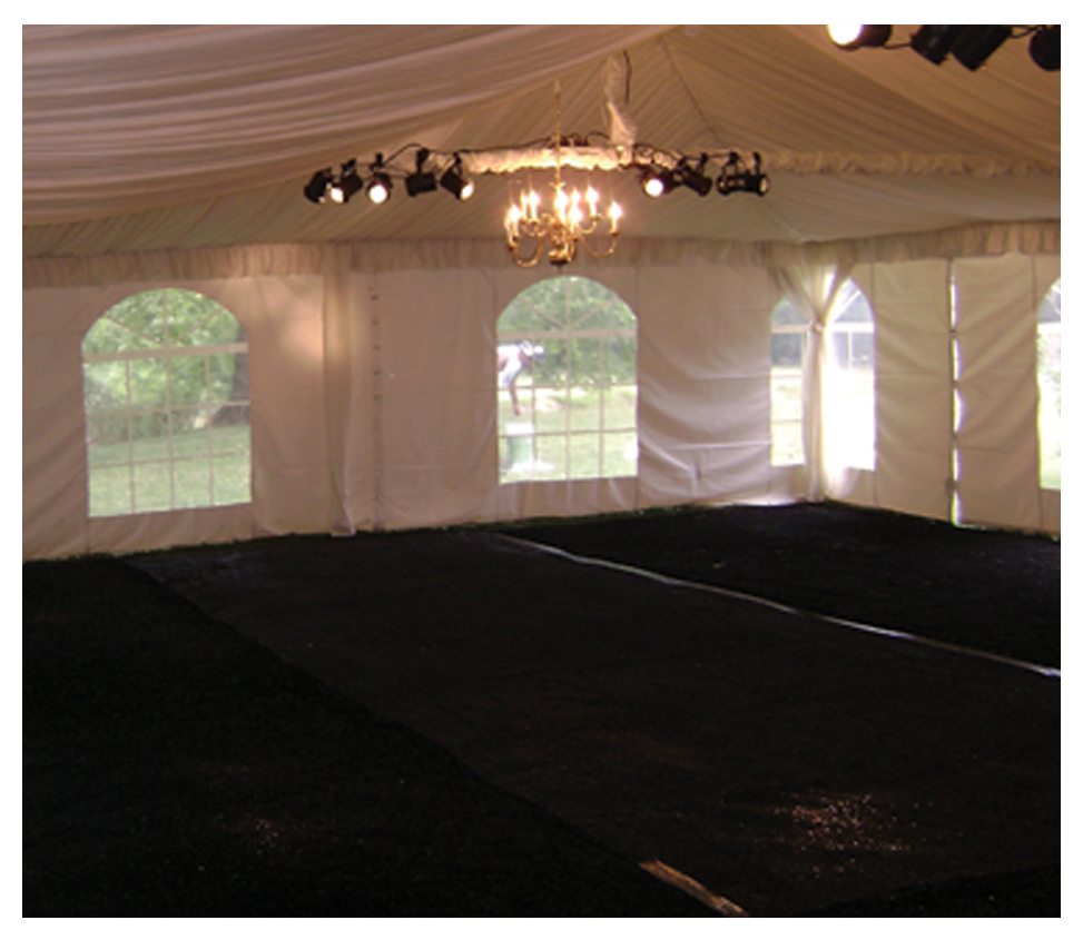 Black Astro Turf Rental Fantasy World Entertainment