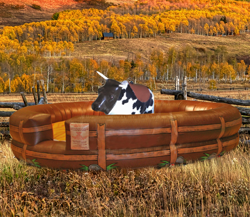 Rodeo Mechanical Bull Rental Fantasy World Entertainment