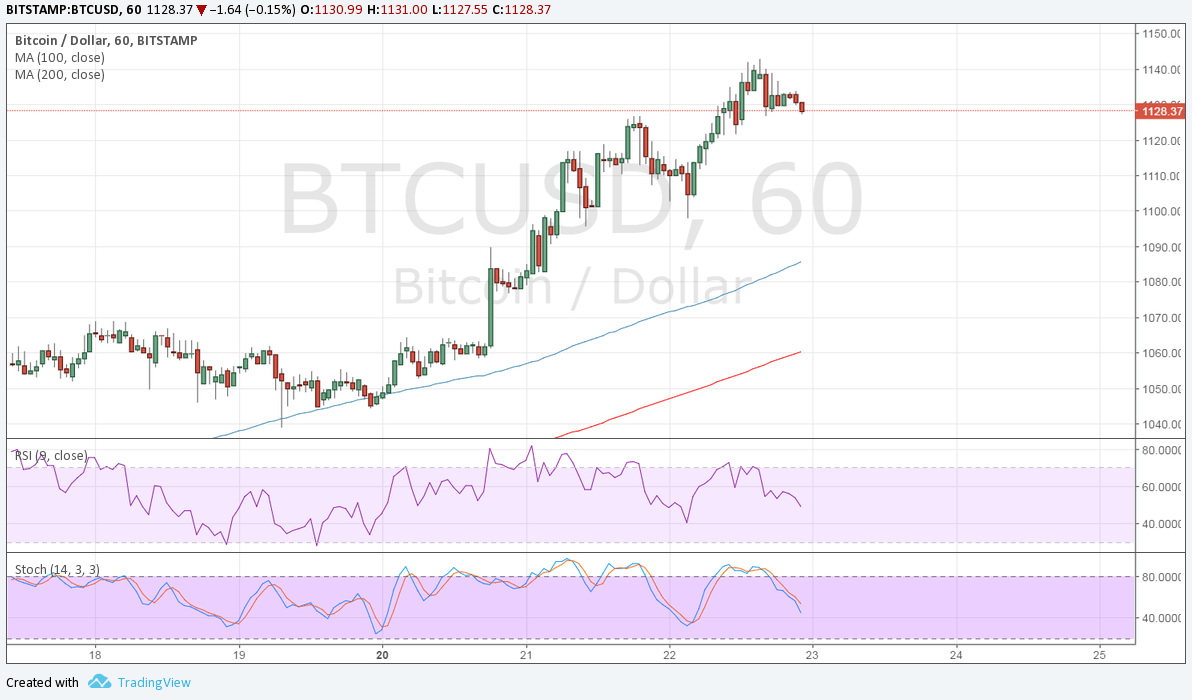 Bitcoin USD Cryptocurrency Interactive Chart