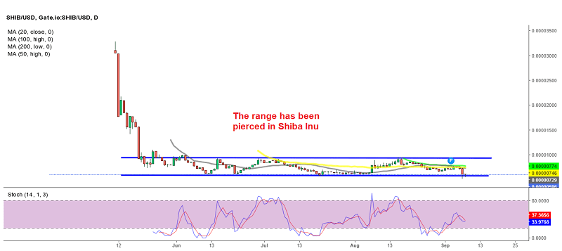 Cryptocurrency Shiba Inu Coin Chart Engrenagemcerebral