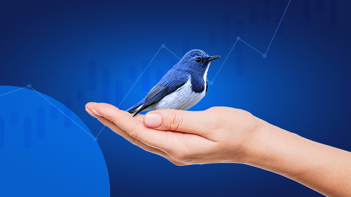 Twitter Aandelen Kopen In 2022 - Twitter Koers Prognose