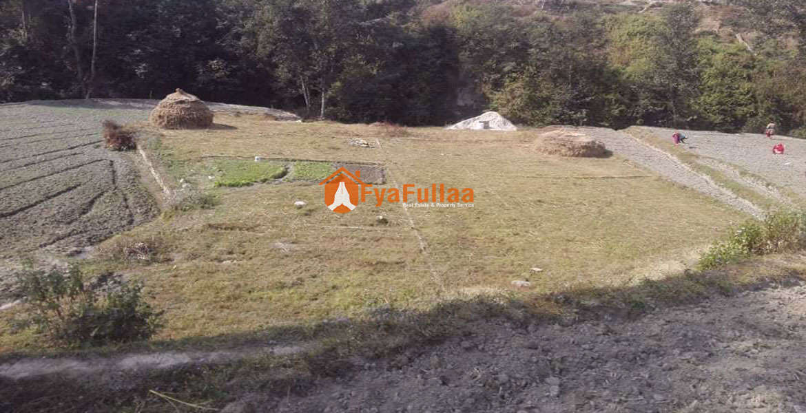 Plotting land sale in Kathmandu Land for sale in Kathmandu gharjagga