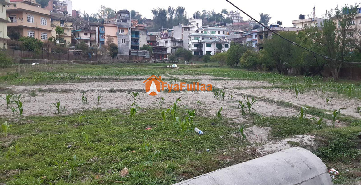 Land Rent In Kathmandu Nepal Land rent In Kathamndu Rental Nepal