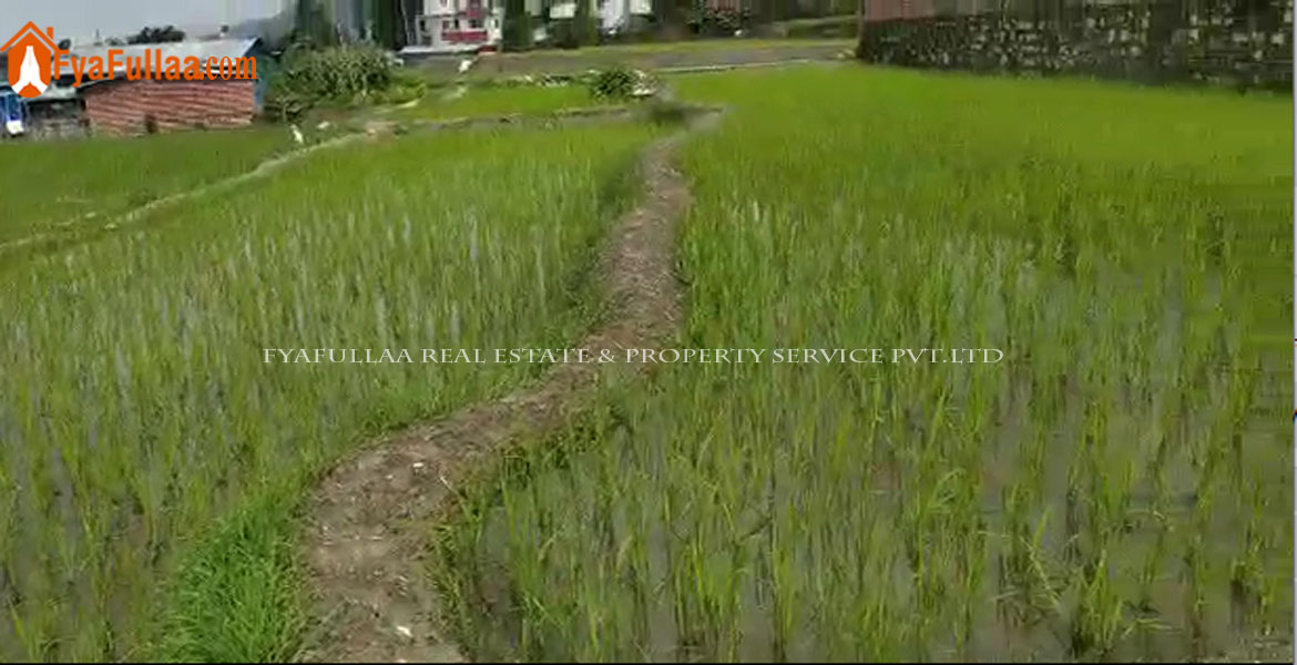 1 ropani land in Budhanilkantha land for sale in budhanilkantha