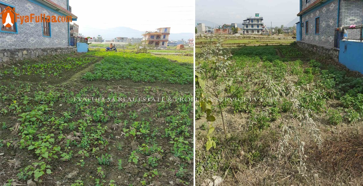Land sale in Pokhara land sale in pokhara airport land sale in new