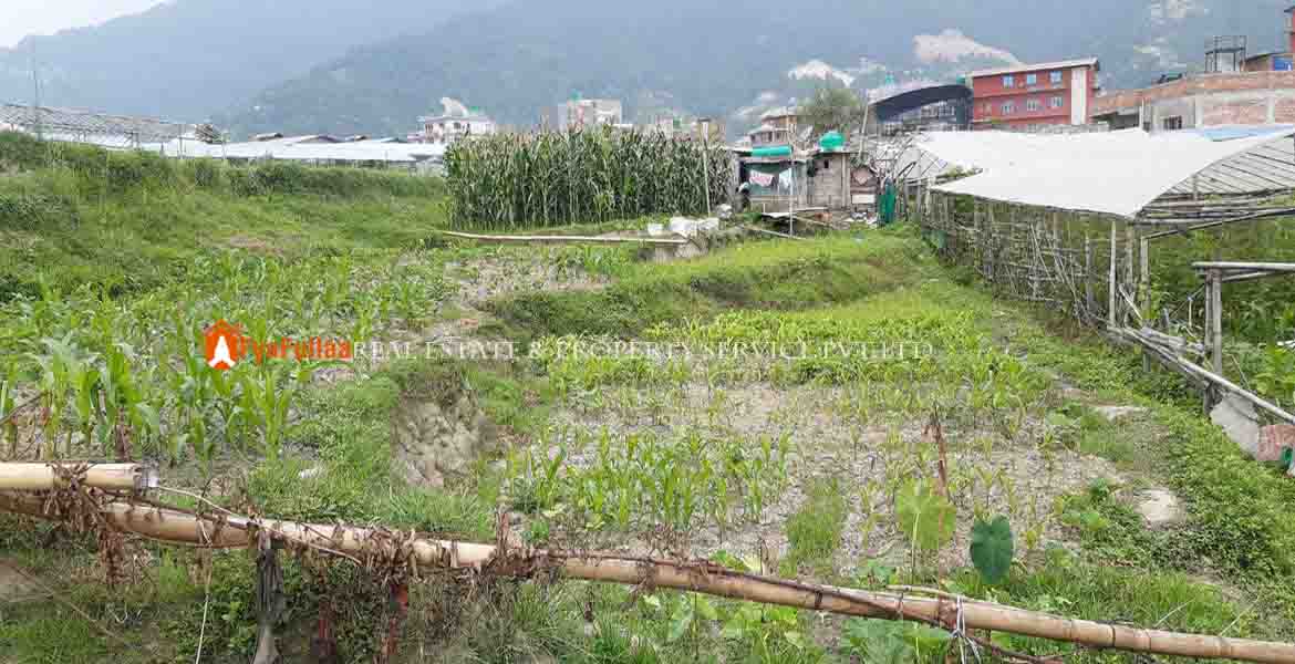 Cheap land sell in Kathmandu cheap land sale in Kathmandu