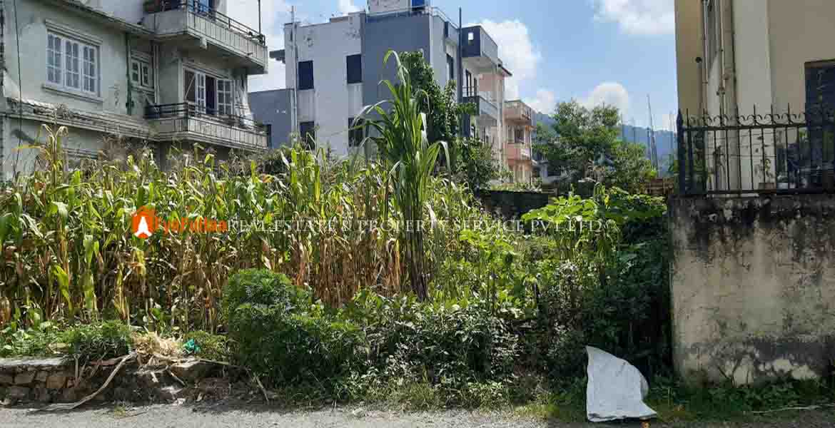 land sale in chapali land sale in golfutar land sale in