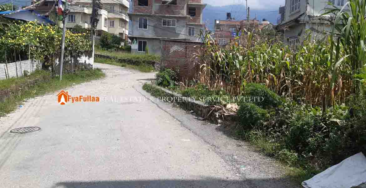 land sale in chapali land sale in golfutar land sale in