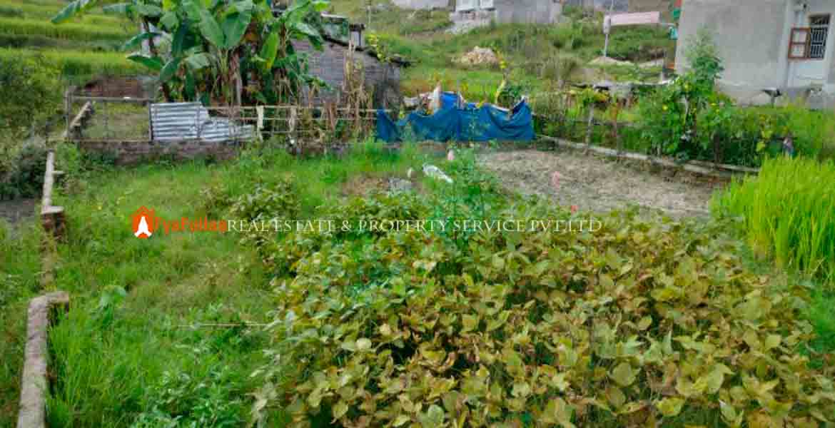 land sale in phutung land sale in tokha land sale in kavresthali