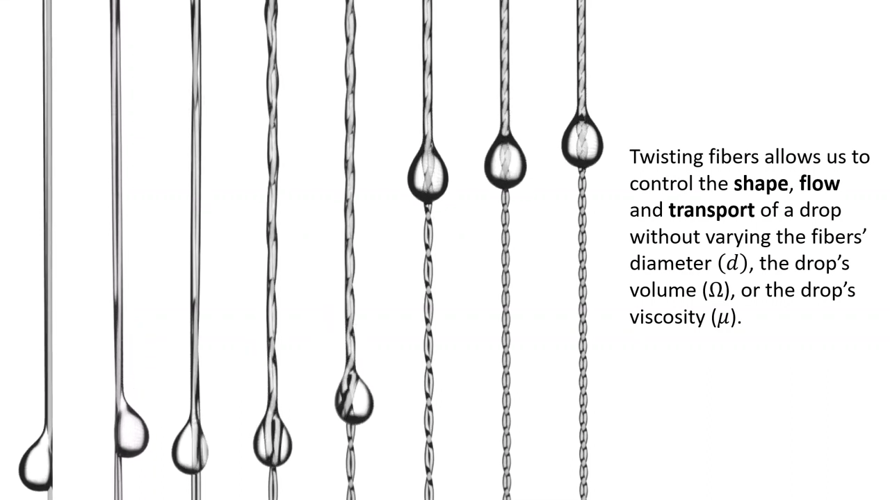 Twisted Fibers – FYFD